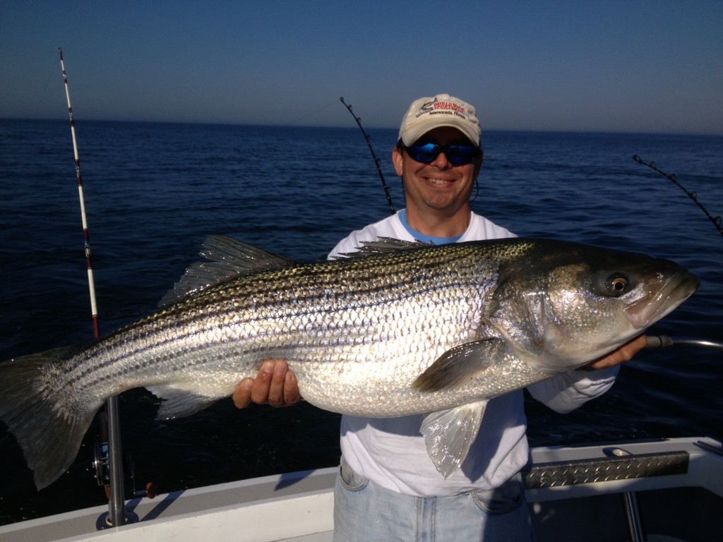 Virginia Striper Fishing Charters Chesapeake Bay Charter Fishing
