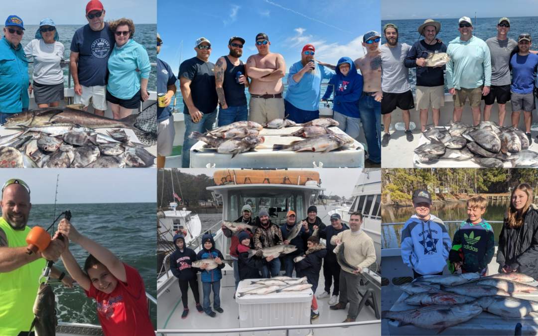 Discover the Ultimate Chesapeake Bay Fishing Adventure with Captain Hogg’s Charter Service
